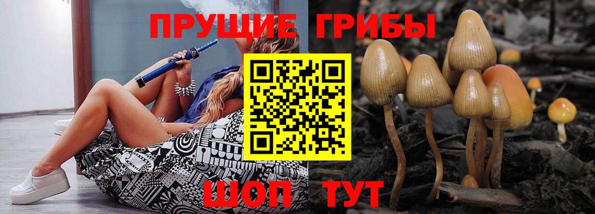 Галлюциногенные грибы MAGIC MUSHROOMS  Вход с VPN  наркотики  Богородск 
